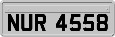 NUR4558