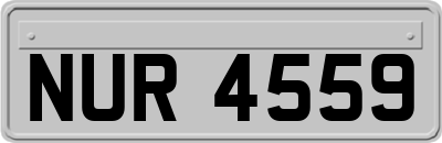NUR4559