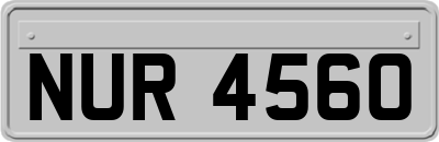 NUR4560