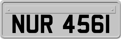NUR4561