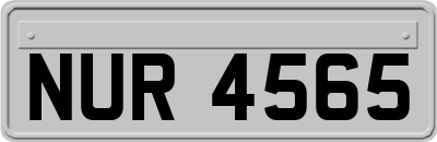 NUR4565