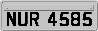 NUR4585
