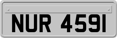 NUR4591