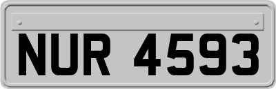 NUR4593