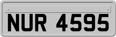 NUR4595