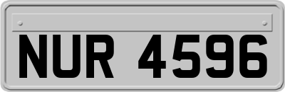 NUR4596