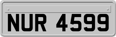 NUR4599