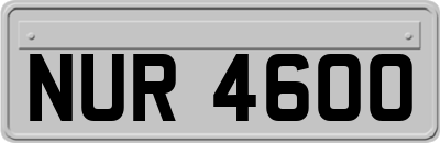 NUR4600