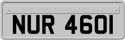 NUR4601