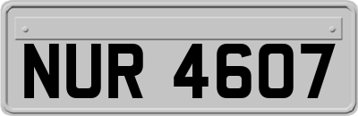 NUR4607