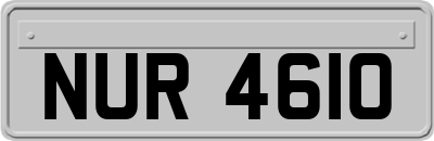 NUR4610