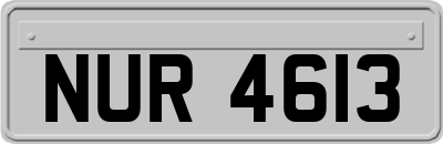 NUR4613