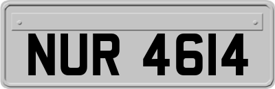 NUR4614