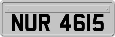 NUR4615