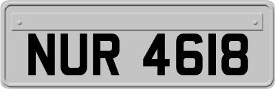 NUR4618