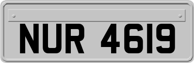NUR4619