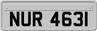 NUR4631