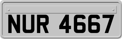 NUR4667