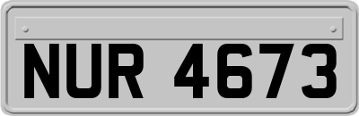 NUR4673