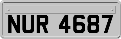 NUR4687
