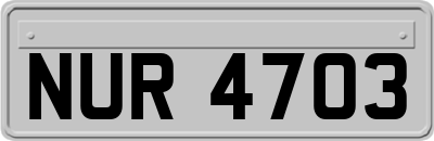 NUR4703