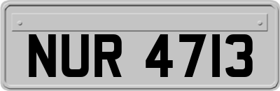 NUR4713