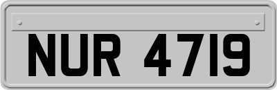 NUR4719