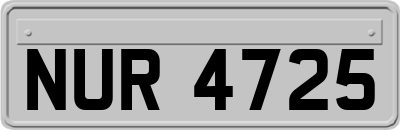 NUR4725
