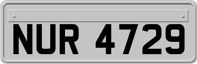 NUR4729