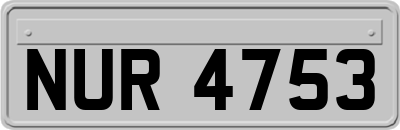 NUR4753