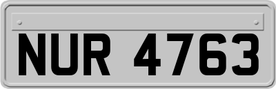 NUR4763