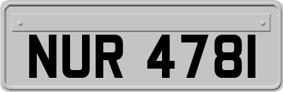 NUR4781