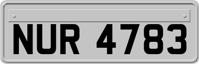 NUR4783