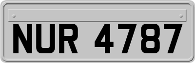 NUR4787