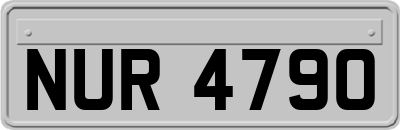 NUR4790
