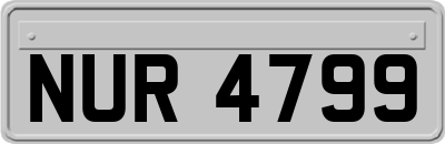 NUR4799