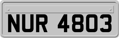 NUR4803