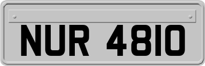 NUR4810