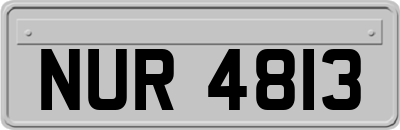 NUR4813