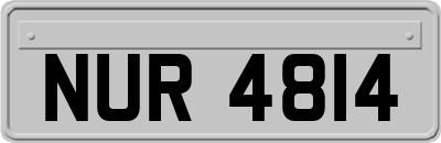 NUR4814