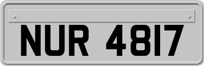 NUR4817