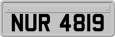 NUR4819
