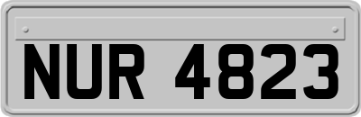NUR4823