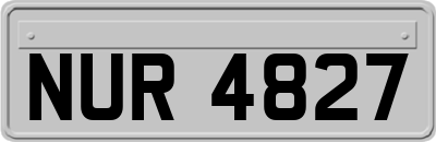 NUR4827