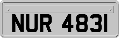 NUR4831