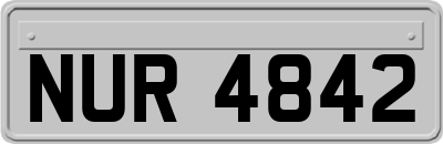 NUR4842