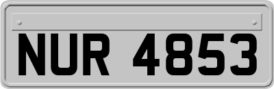 NUR4853