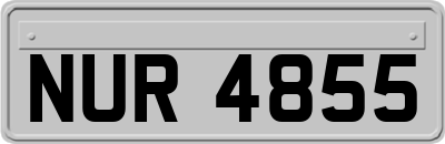 NUR4855