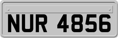 NUR4856