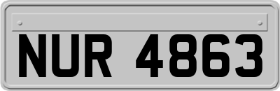 NUR4863